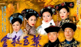 后宫争宠的电视剧,权谋与爱恨的宫廷角逐