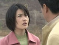 电视剧绿野,探寻自然与生命的和谐交响
