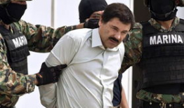 大毒枭电视剧,风云再起，毒品帝国背后的生死较量