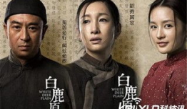 电视剧白鹿原,烽火岁月里的家族传奇