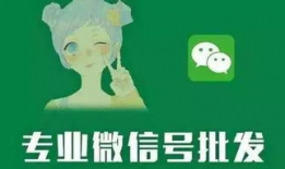 91号小羊最新直播视频,最新热点事件深度解析
