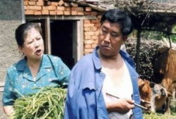 东北农村电视剧,岁月流转中的乡愁记忆