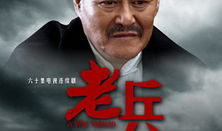 电视剧老兵,烽火岁月里的忠诚与信仰