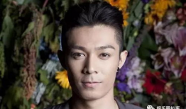 周柏豪 电视剧,影视歌多栖艺人，电视剧中的魅力演绎