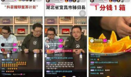 91c仔在线直播,揭秘网络红人的魅力与影响力