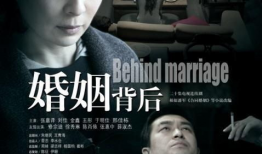 婚姻背后 电视剧,揭开情感迷雾的真相
