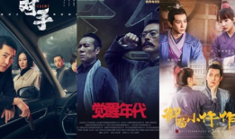 国产高分电视剧,匠心独运，情感共鸣的视听盛宴