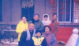 东北一家人电视剧,温情岁月里的家庭故事
