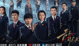 国产高分电视剧,匠心独运，情感共鸣的视听盛宴