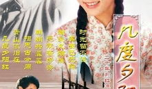 电视剧几度夕阳红,岁月流转中的情感纠葛