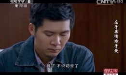 电视剧左手亲情右手爱,情感纠葛中的家庭抉择