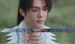 莲花电视剧,穿越时空的传奇爱情