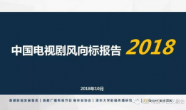 电视剧分析,揭秘剧情背后的秘密与人物命运