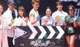 夜空中最亮的星电视剧,璀璨星空下的爱情与梦想之旅