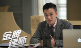 金牌律师电视剧,智斗风云，正义之战
