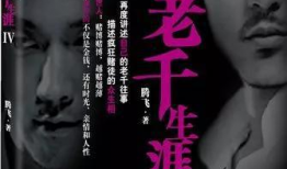 我的老千生涯电视剧,揭秘赌场风云背后的传奇人生