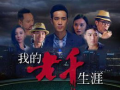 我的老千生涯电视剧,揭秘赌场风云背后的传奇人生