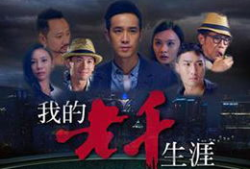 我的老千生涯电视剧,揭秘赌场风云背后的传奇人生