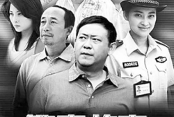 我是警察电视剧,忠诚守护，正义之光