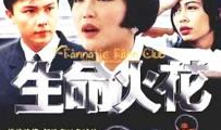电视剧火花,激情岁月里的青春传奇