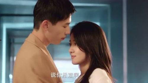 不说谎恋人电视剧免费观看,揭秘甜蜜爱情背后的秘密