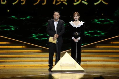电视剧奖,年度电视剧奖项盛典精彩回顾